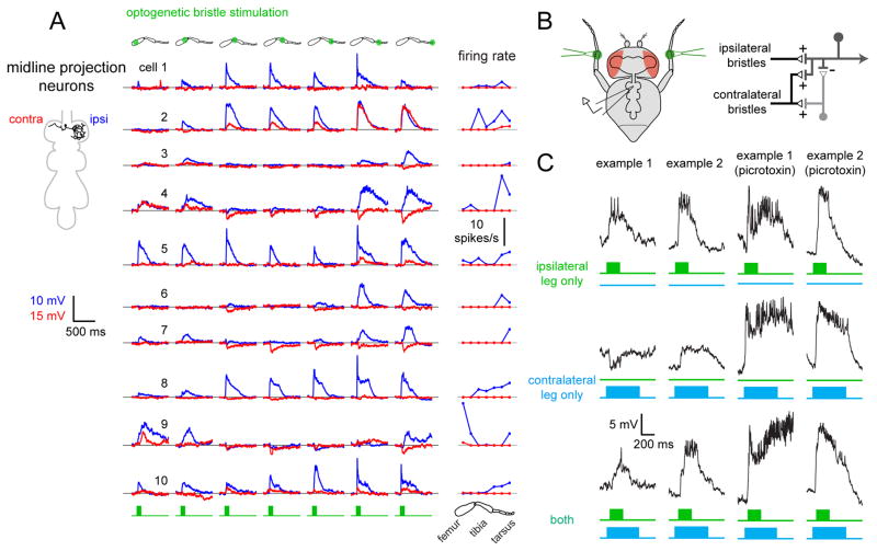 Figure 6