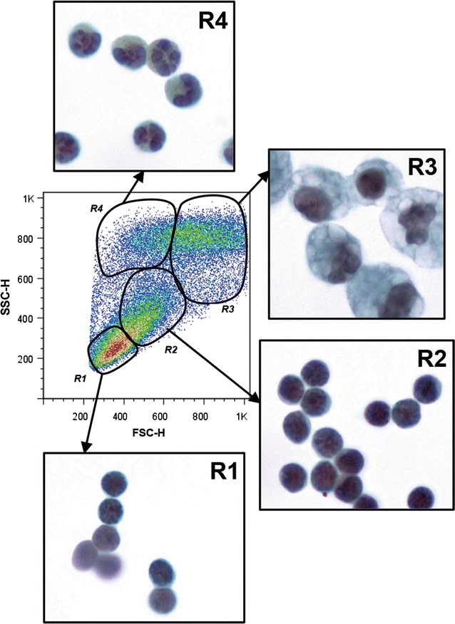 Fig. 3