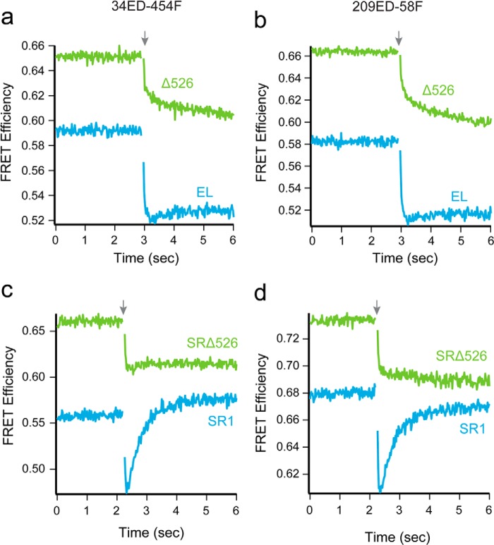 FIGURE 5.