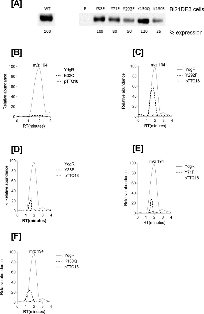 Figure 5.