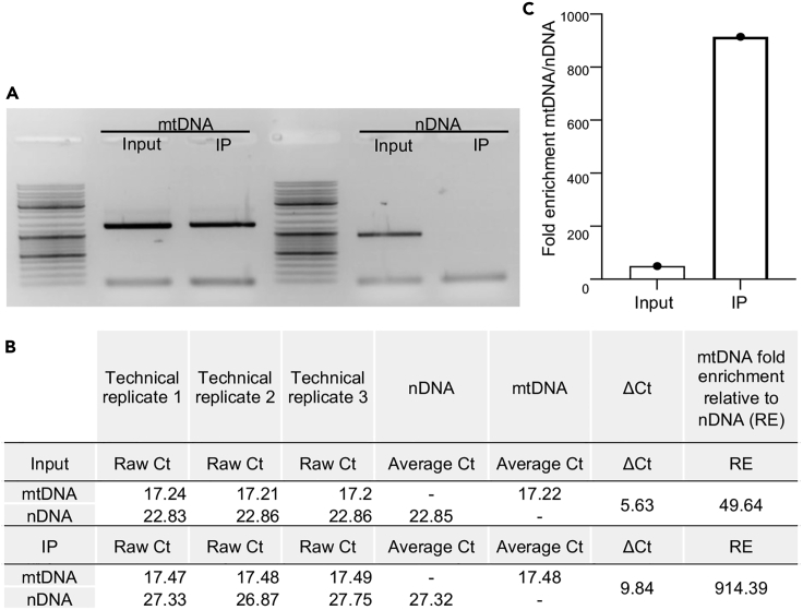 Figure 7