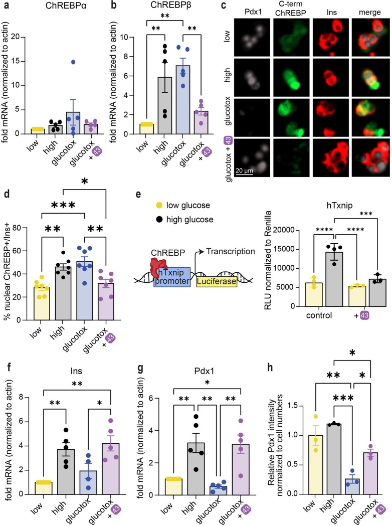 Fig. 6: