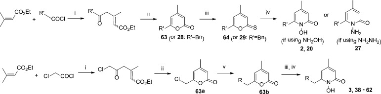 Scheme 1