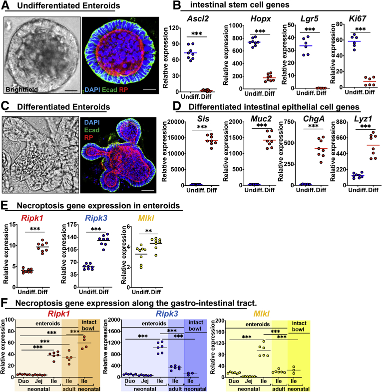 Figure 6