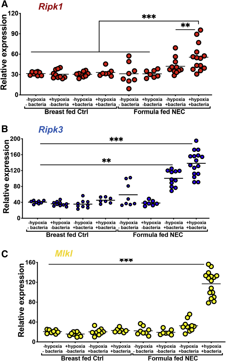 Figure 3