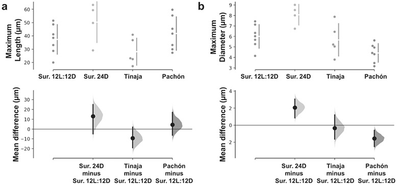 Figure 5: