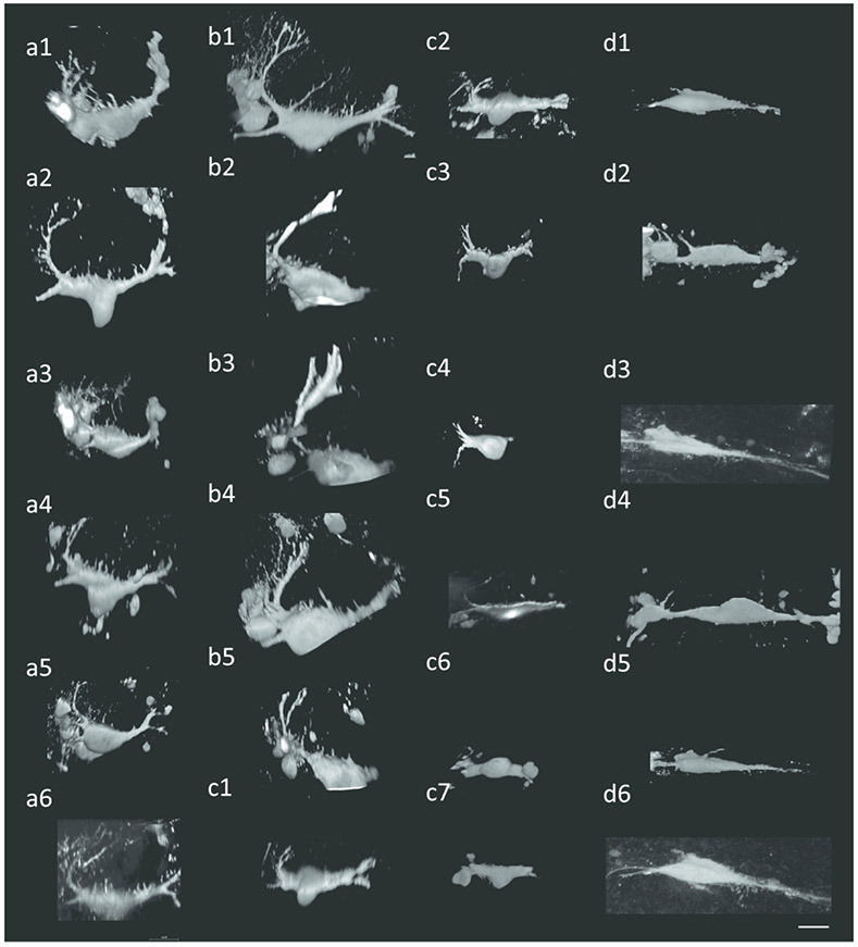 Figure 4: