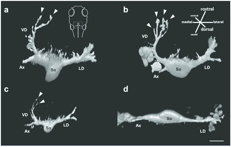 Figure 2: