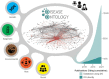 Graphical Abstract