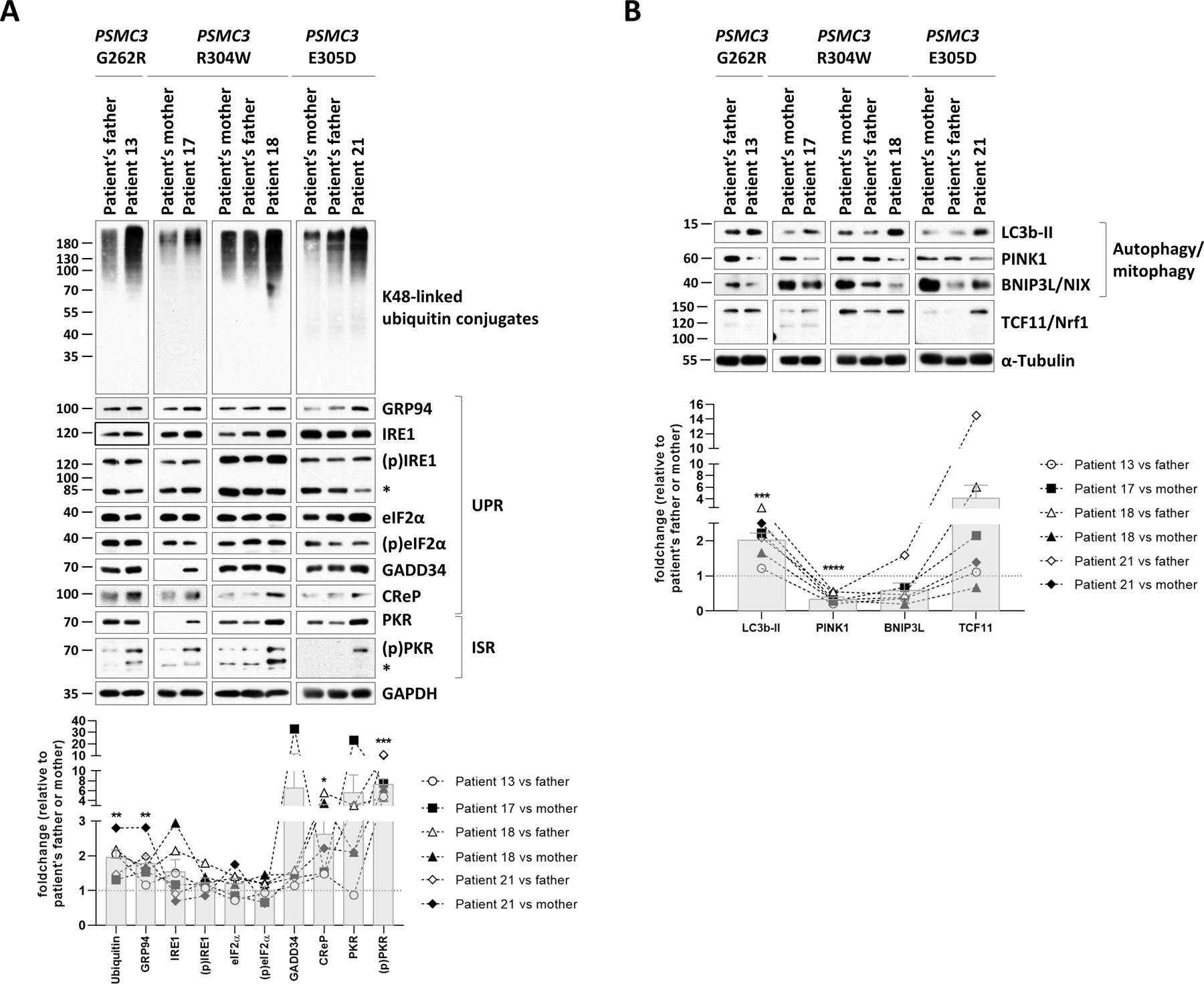 Fig. 6: