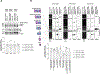 Fig. 4: