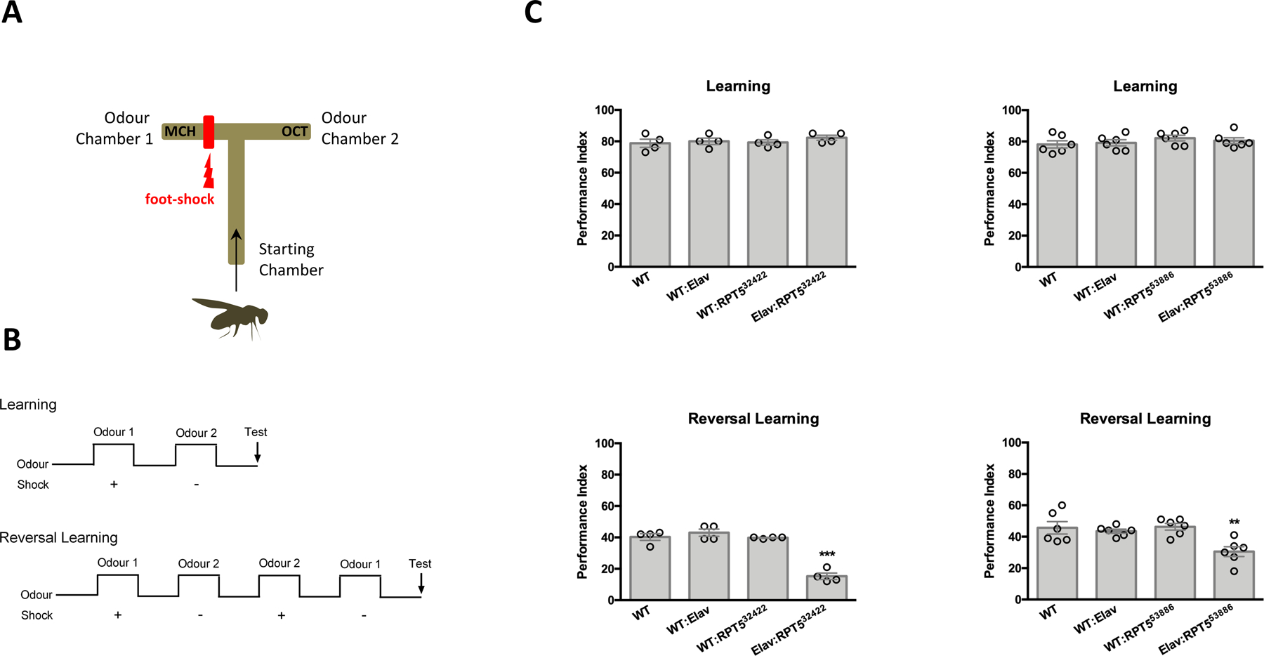 Fig. 2: