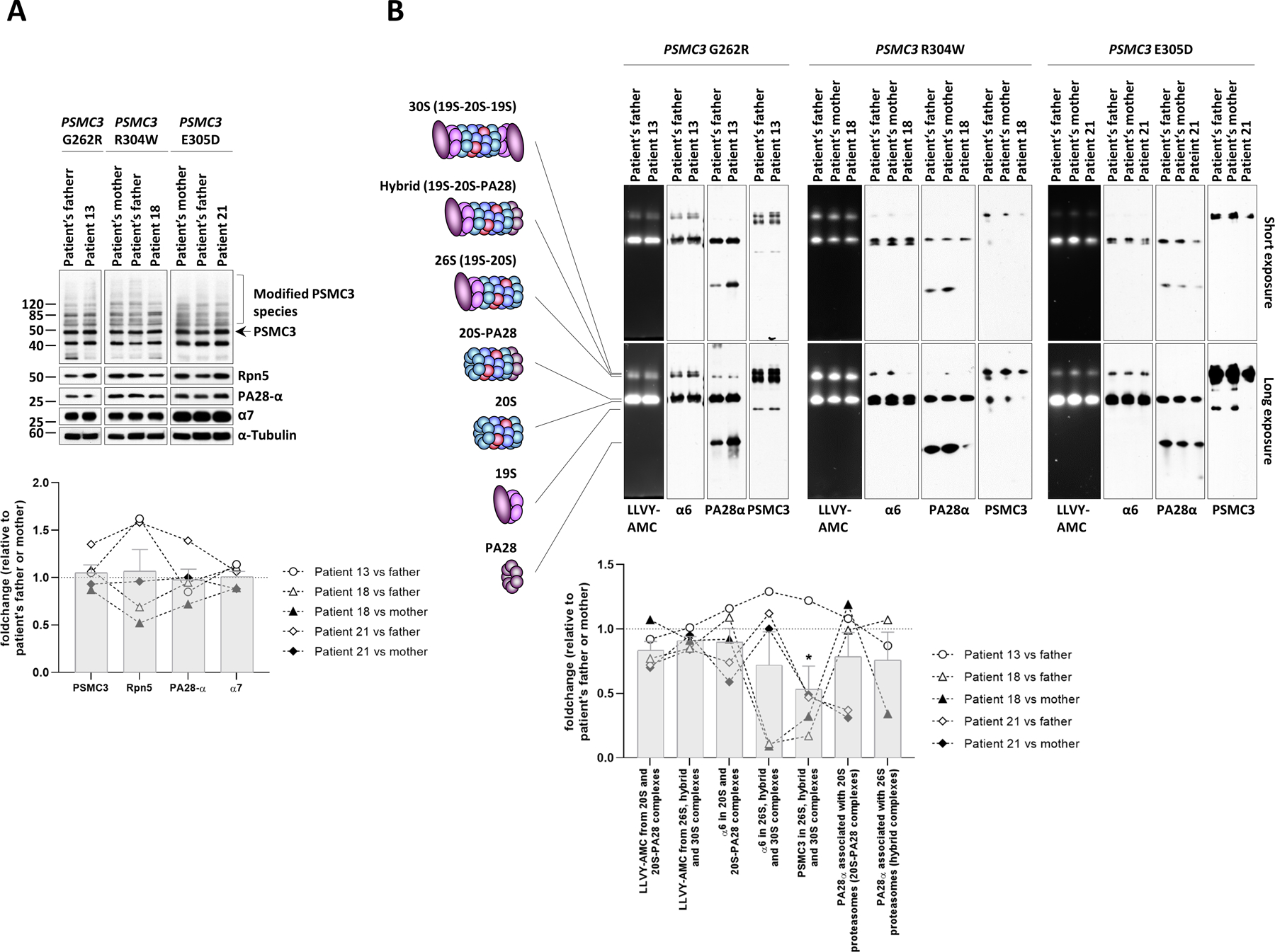 Fig. 4: