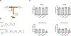 Fig. 2: