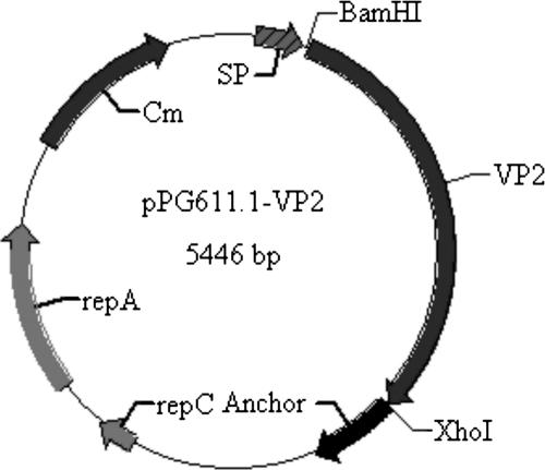 FIG. 1.