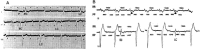 Fig. (11)