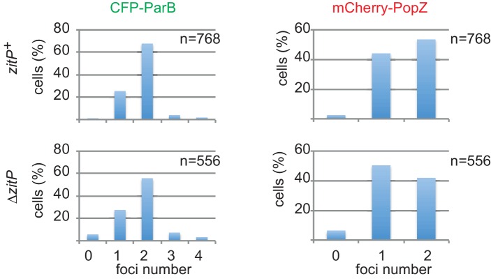 Figure 4—figure supplement 2.