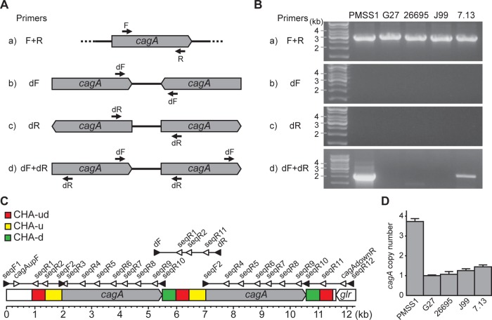 FIG 1 