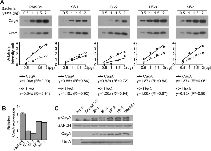 FIG 3 