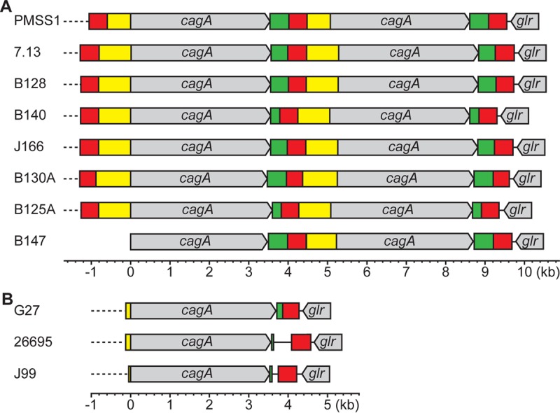 FIG 6 