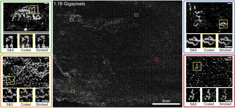 Fig. 4.