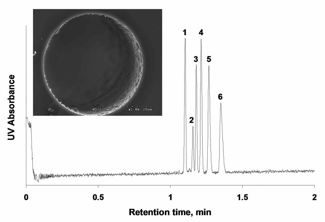 Fig. 10