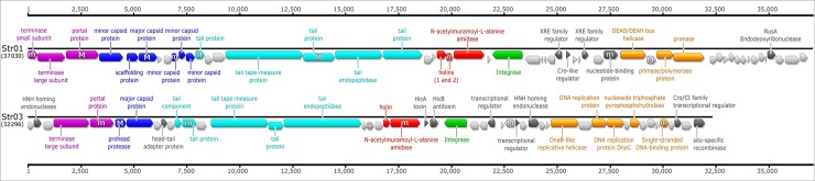 Fig 4