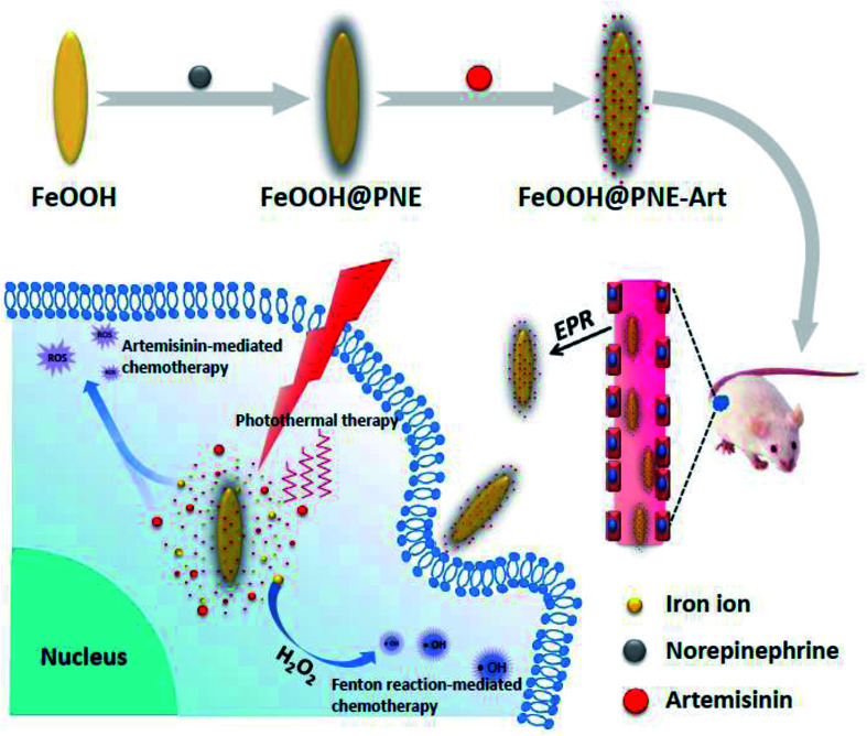 Scheme 1