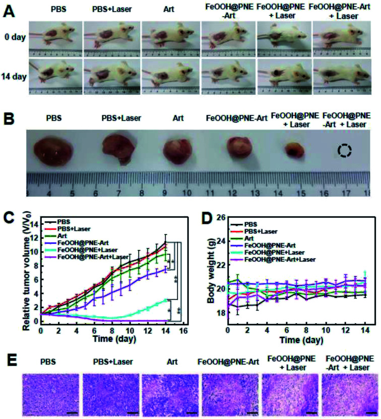 Fig. 9