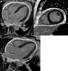 Fig. 40