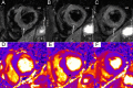 Fig. 8