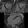 Fig. 24