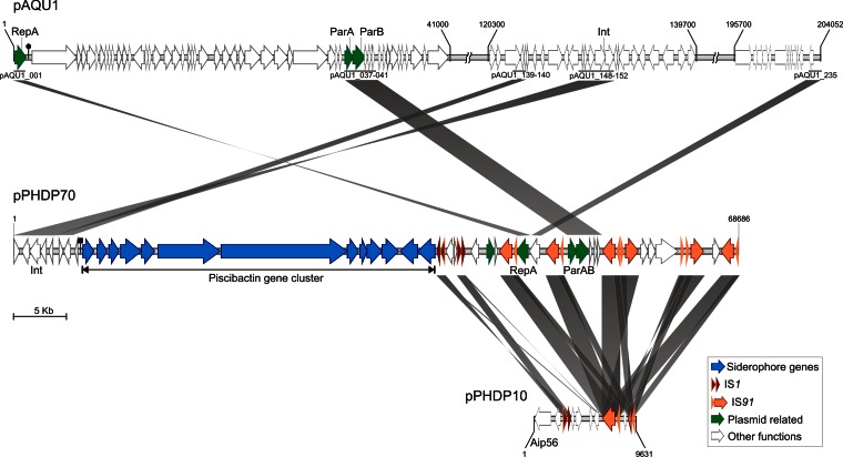 FIG 2