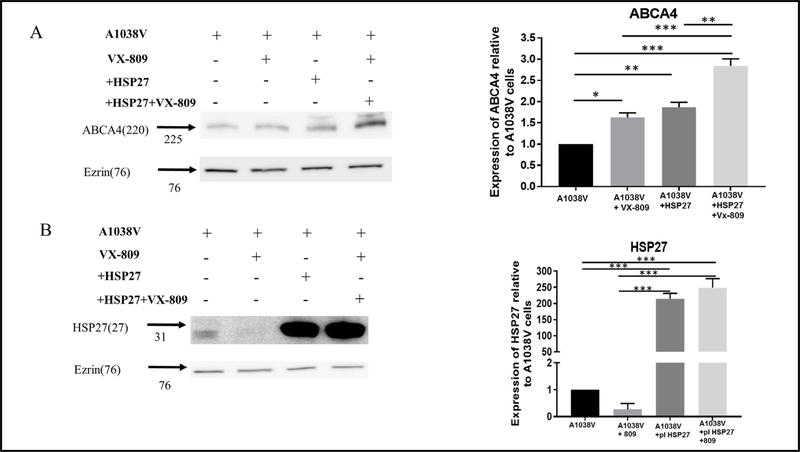 Fig. 11.