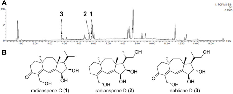 FIGURE 2