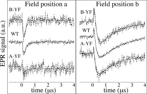 Fig. 4.