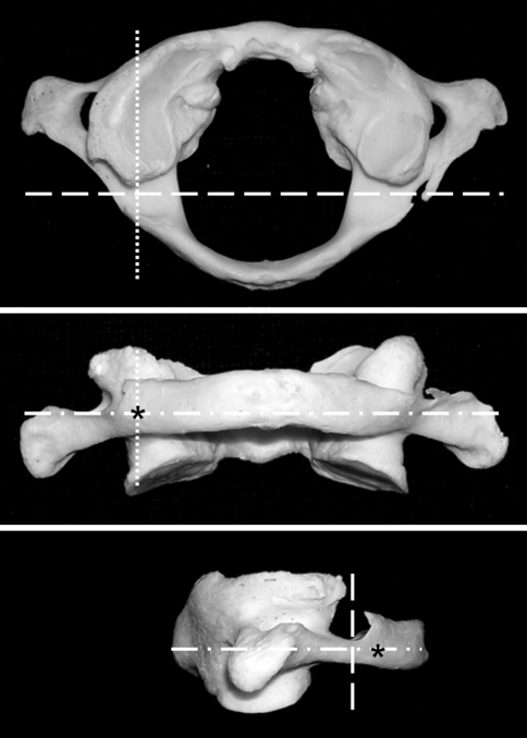 Fig. 2