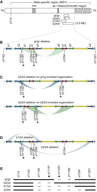 Figure 1