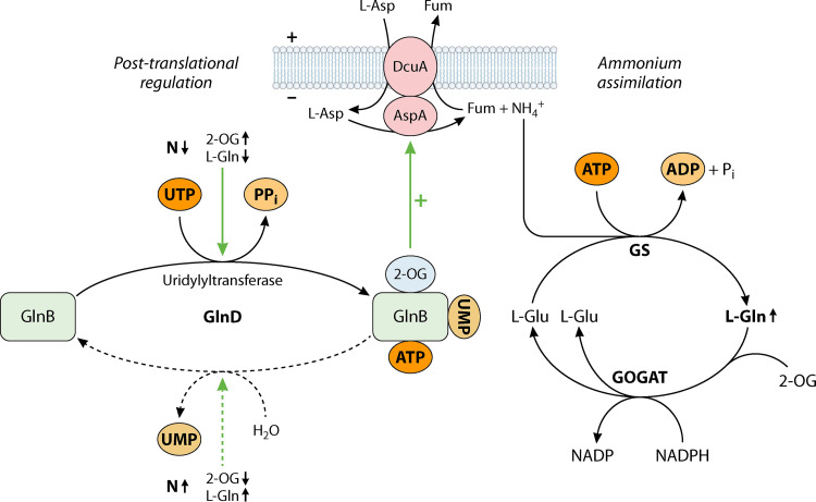 FIG 3