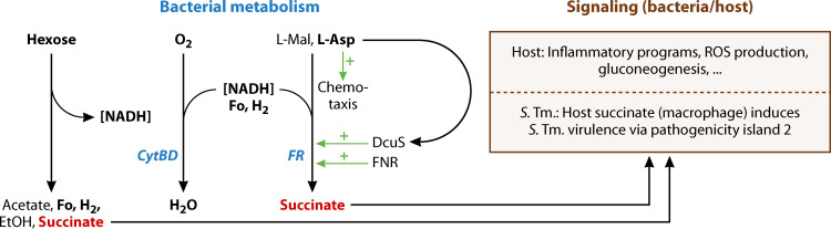 FIG 5