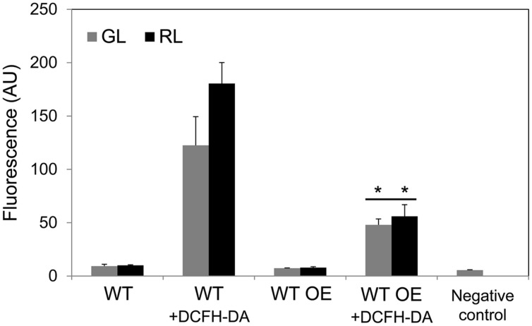 FIGURE 4