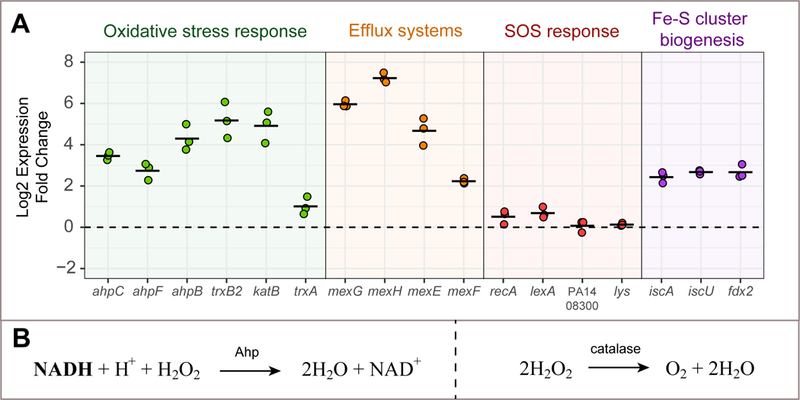 Fig. 6.
