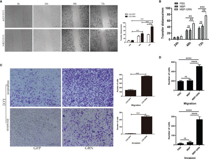 Figure 4