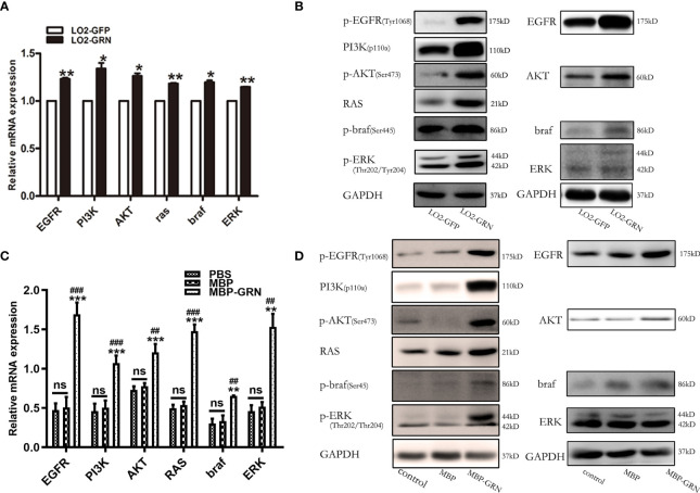 Figure 6