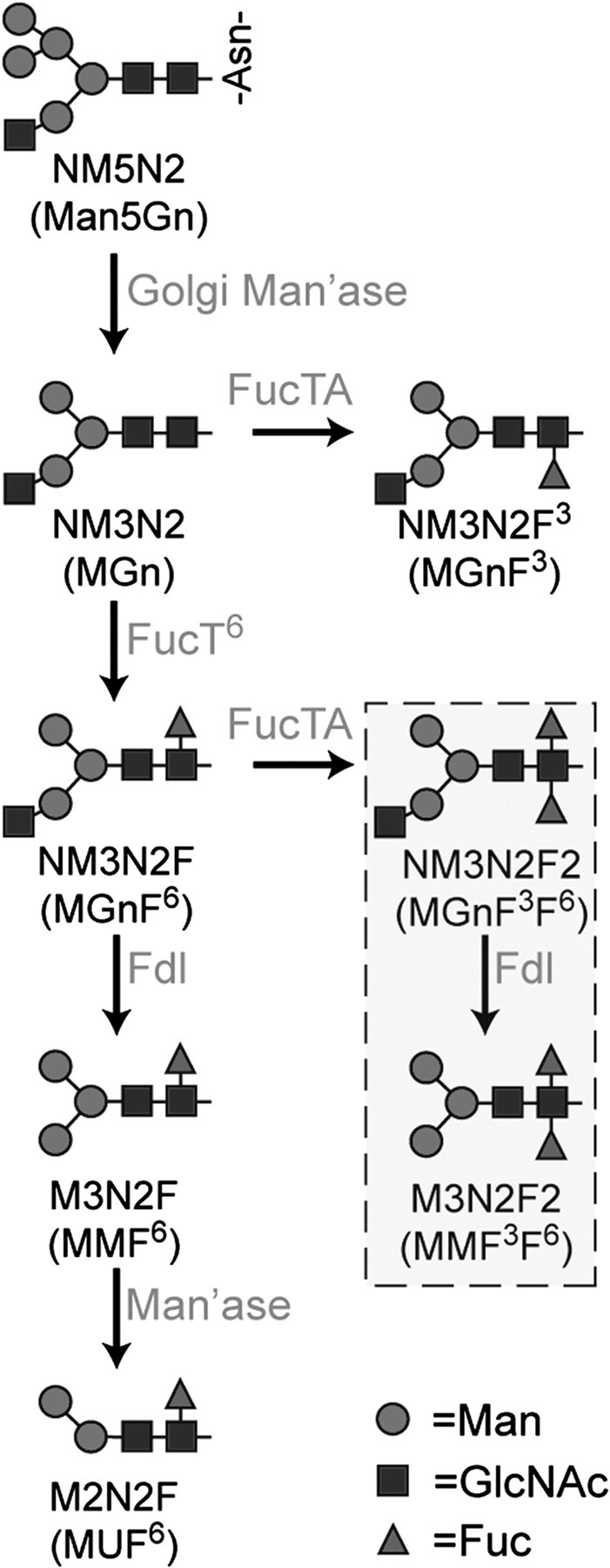 Fig. 1