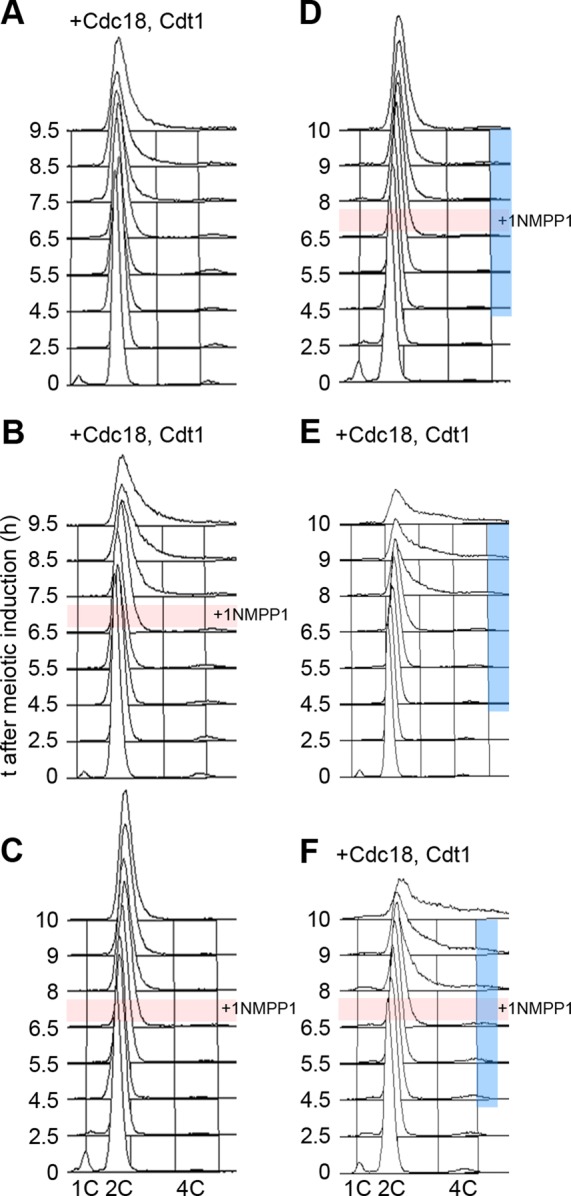 FIGURE 4: