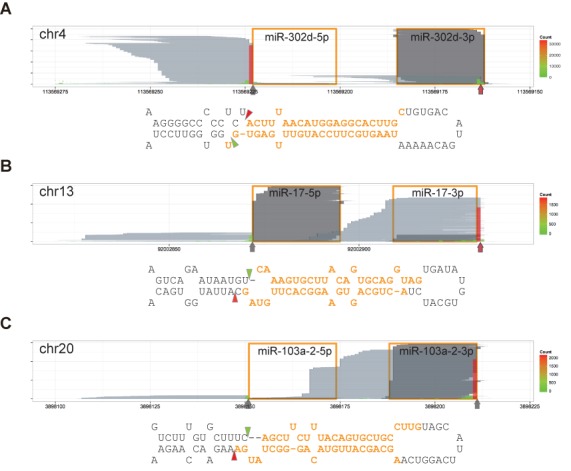 Figure 4.