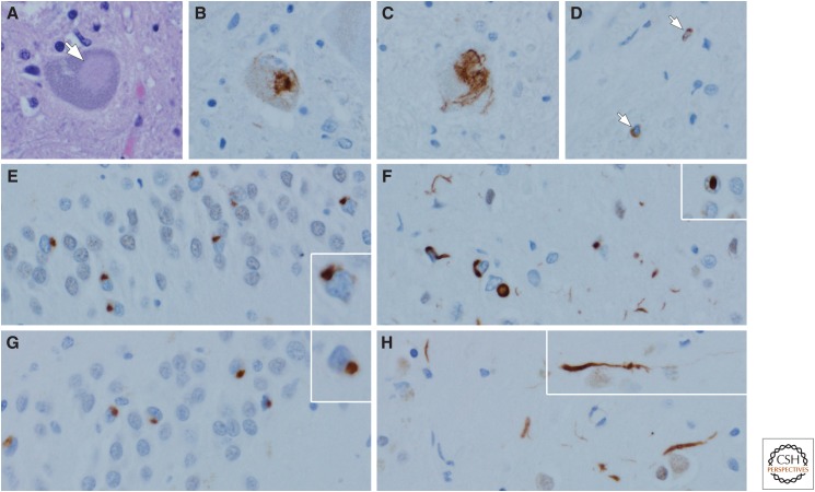 Figure 7.