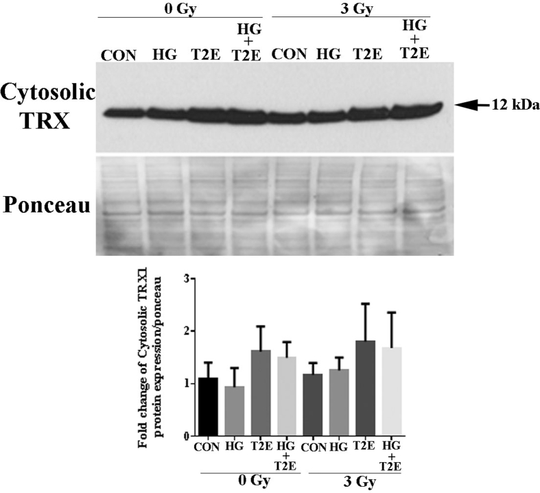 Supplementary Fig. 2