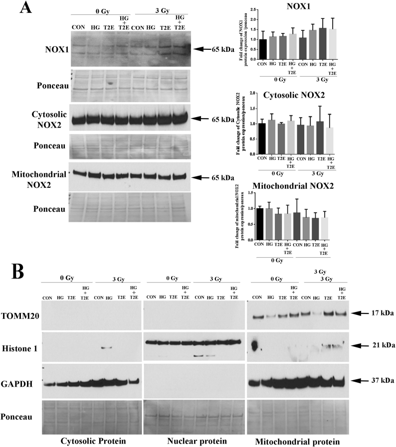 Supplementary Fig. 1